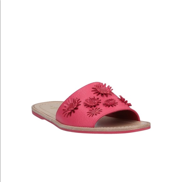 Carshoe leather flat NWT - Picture 1 of 9